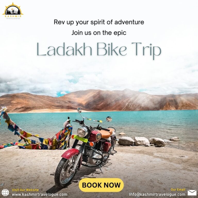 Srinagar to leh bike rental poster.